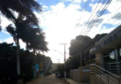 Ana Lima neste mês fala  sobre o bairro das Palmeiras