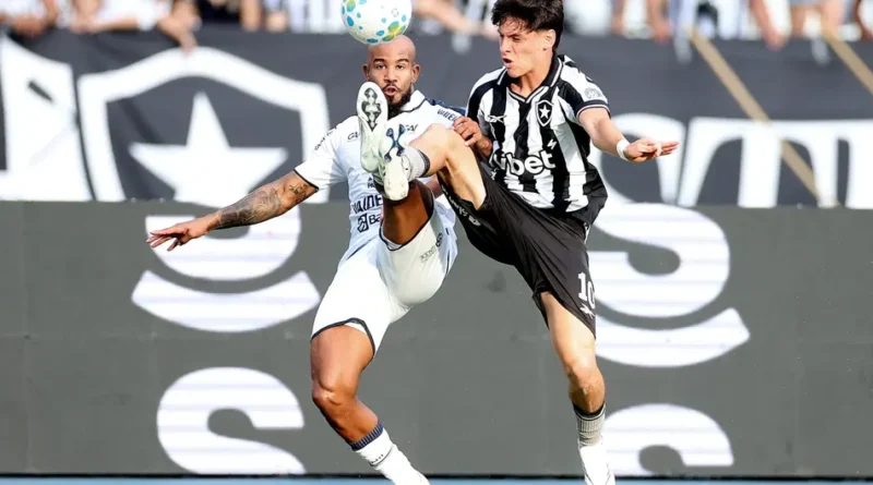 Botafogo perde para o Remo de virada e deixa o Nilton Santos vaiado