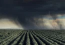 Super El Niño pode provocar maior colapso climático desde o século XIX Super El Niño pode provocar maior colapso climático desde o século XIX