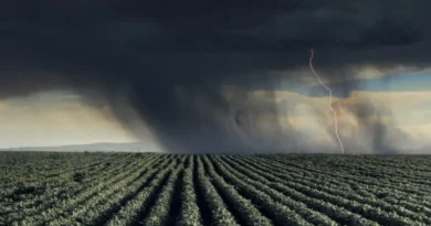 Super El Niño pode provocar maior colapso climático desde o século XIX
