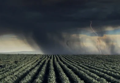 Super El Niño pode provocar maior colapso climático desde o século XIX