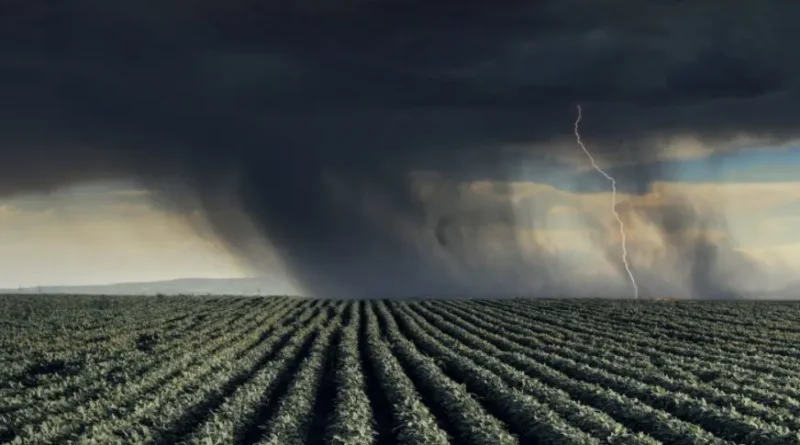 Super El Niño pode provocar maior colapso climático desde o século XIX
