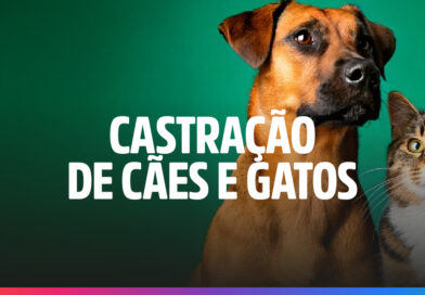 Amanhã, 21, vai ter agendamento para castração em Cardoso Moreira Amanhã, 21, vai ter agendamento para castração em Cardoso Moreira