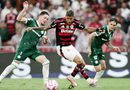 A força de Flamengo e Palmeiras na briga por mais um título brasileiro A força de Flamengo e Palmeiras na briga por mais um título brasileiro