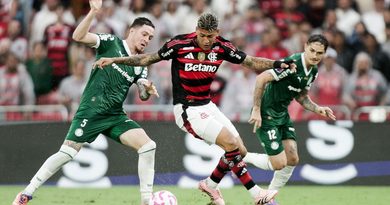 A força de Flamengo e Palmeiras na briga por mais um título brasileiro A força de Flamengo e Palmeiras na briga por mais um título brasileiro