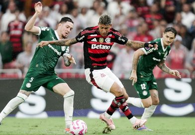 A força de Flamengo e Palmeiras na briga por mais um título brasileiro A força de Flamengo e Palmeiras na briga por mais um título brasileiro